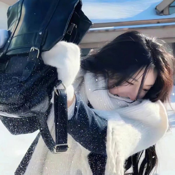 汉妮与南妮 封面