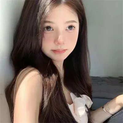 阿妮塔与加里波第 封面